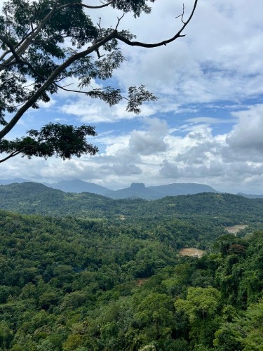 20251024_051457333_iOS.jpg 20251024_051457333_iOS.jpg