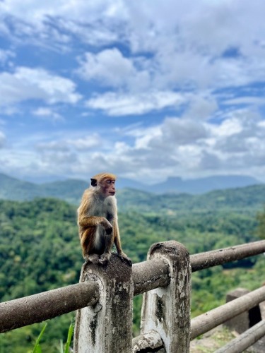 20251024_051526872_iOS.jpg 20251024_051526872_iOS.jpg