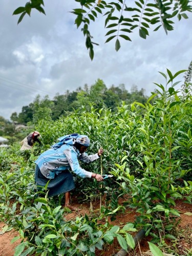 20251024_052041000_iOS.jpg 20251024_052041000_iOS.jpg