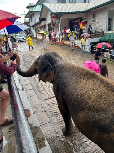 20251024_061019891_iOS.jpg 20251024_061019891_iOS.jpg