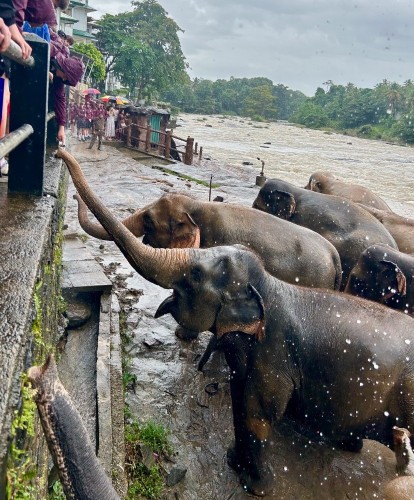 20251024_061739208_iOS.jpg 20251024_061739208_iOS.jpg