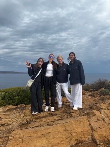 IMG_9099.JPG IMG_9099.JPG