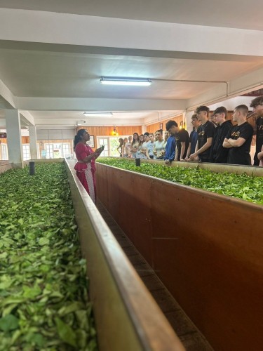 PHOTO-2025-10-24-04-57-13.jpg PHOTO-2025-10-24-04-57-13.jpg