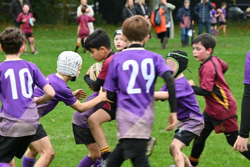 U10 & U11 Rugby Festival