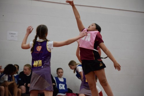Primary Netball Tournament