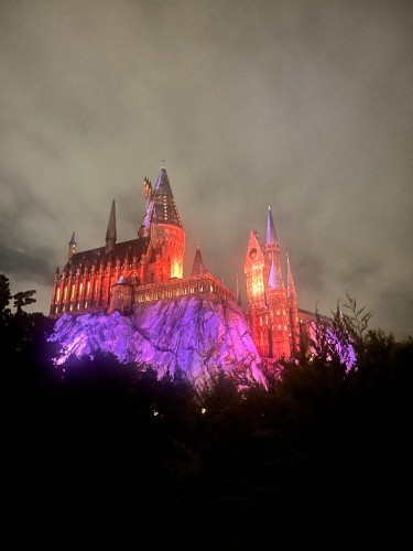 Euddogwy Purple 3.jpeg