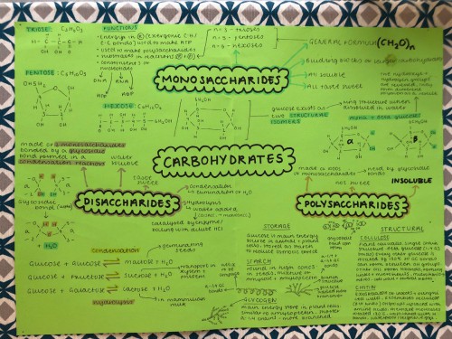Lauren Hill Carbs Mind-map.jpg