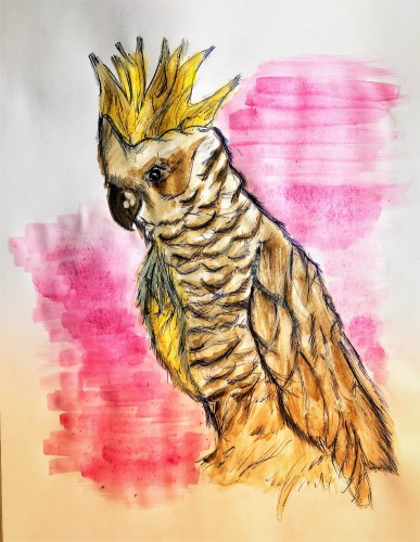 Year 9 - Art - Helena R.jpeg