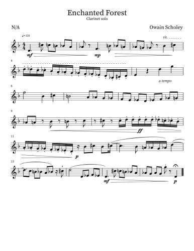 Year 9 - Music - Owain S-1.jpg