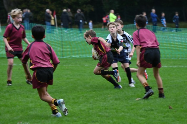 U10 & U11 Rugby Festival