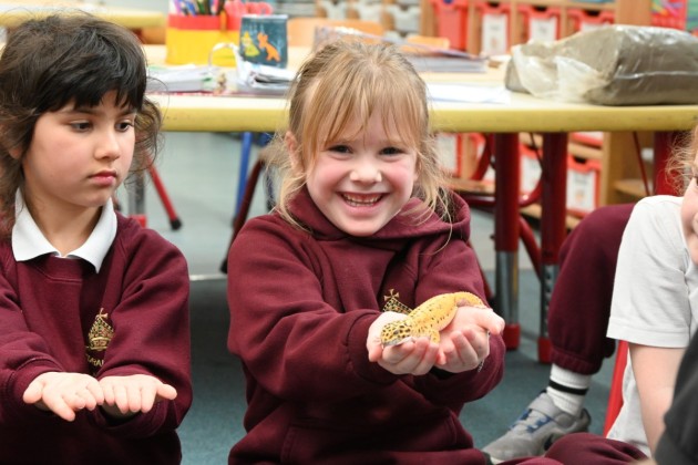 Animal Zone Visits Year 1