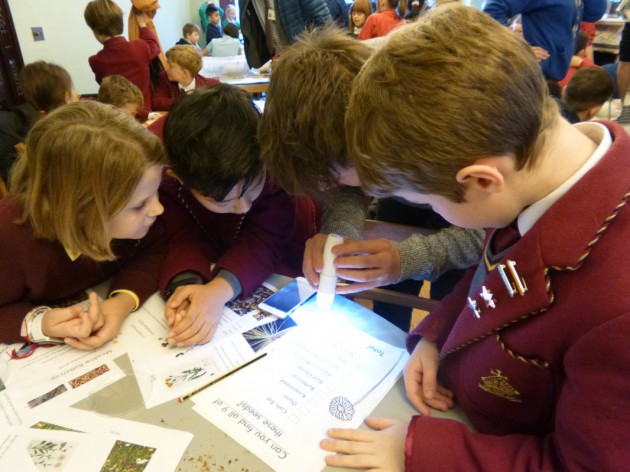 Primary Eco Schools Meeting at Insole Court
