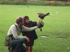 Year 2 meet Bird of Prey