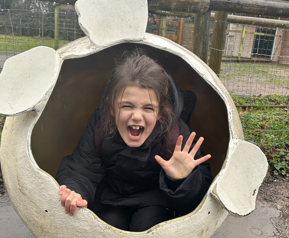 The Bristol Wild Place Project