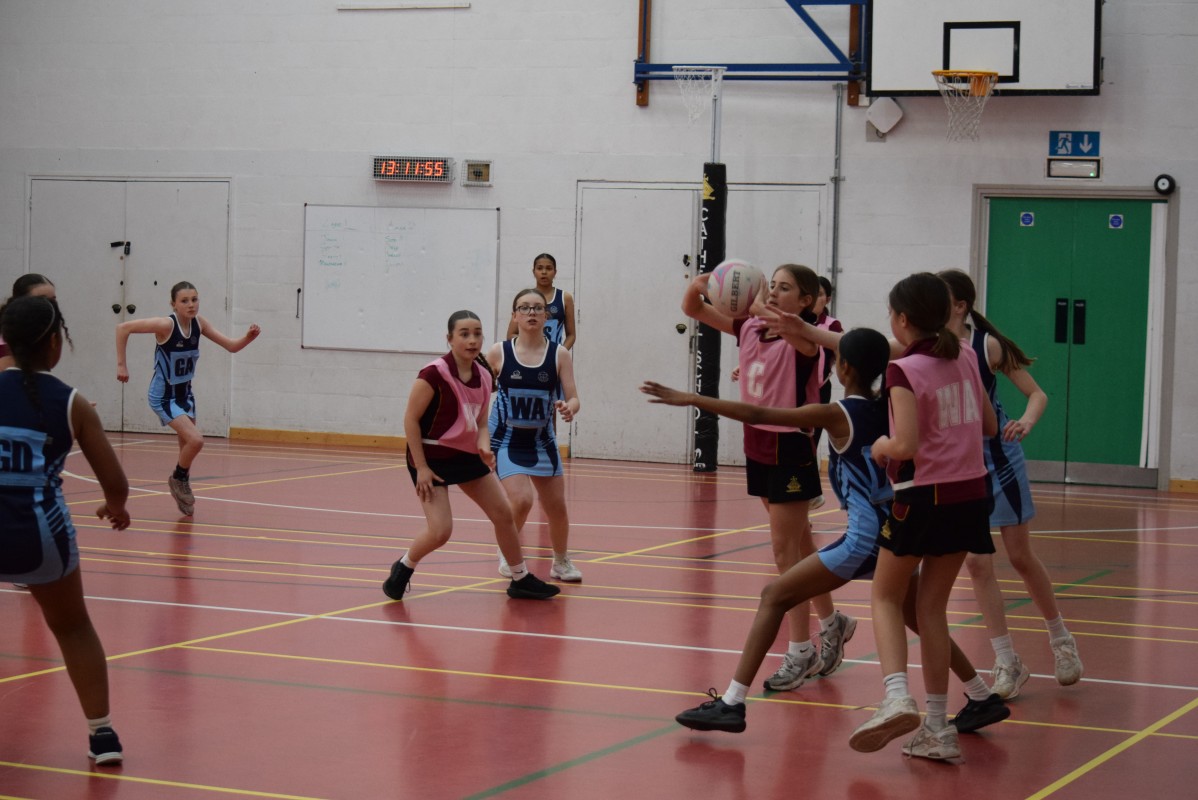 Primary Netball Tournament