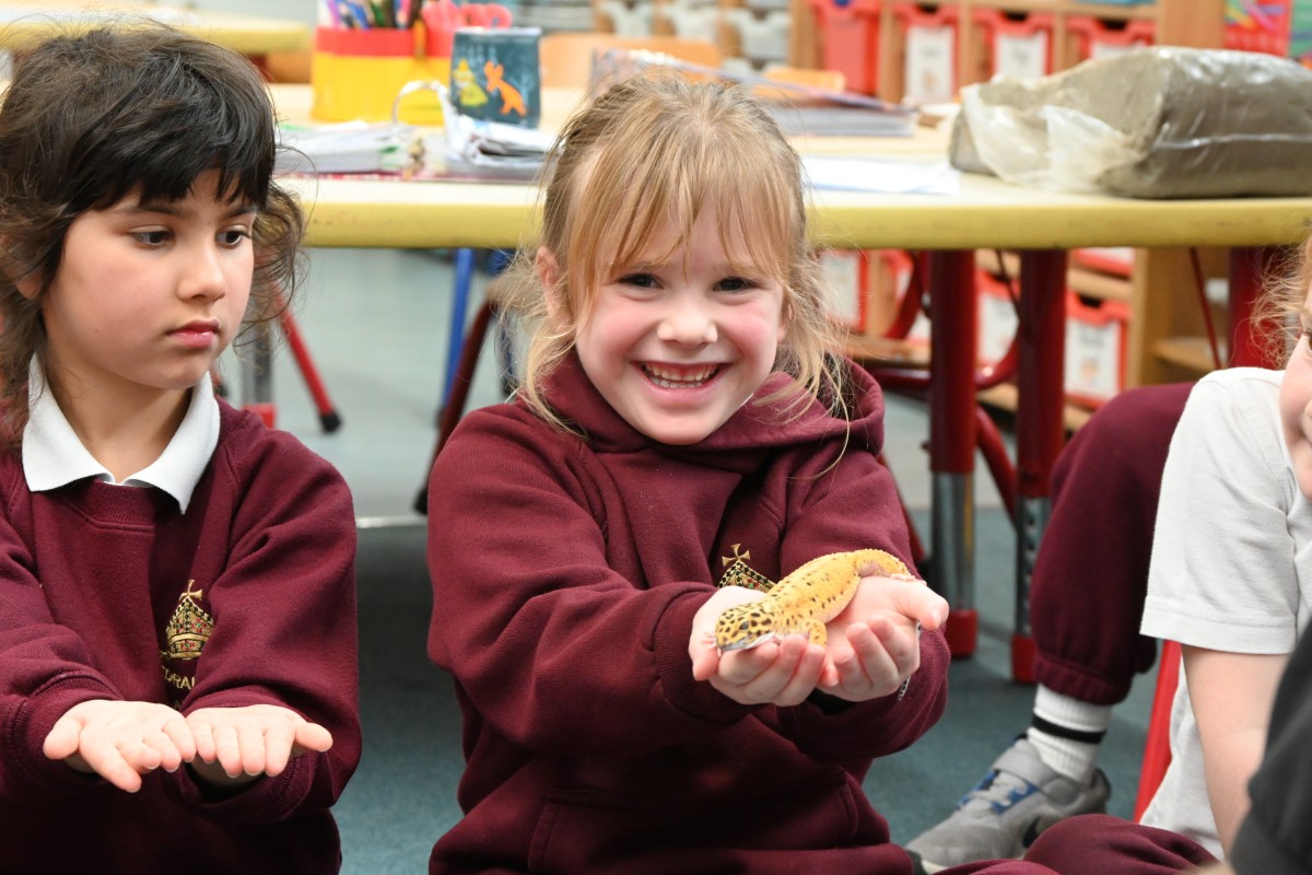 Animal Zone Visits Year 1