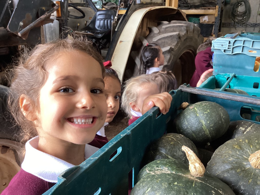 From Farm to Fork at Earthwise